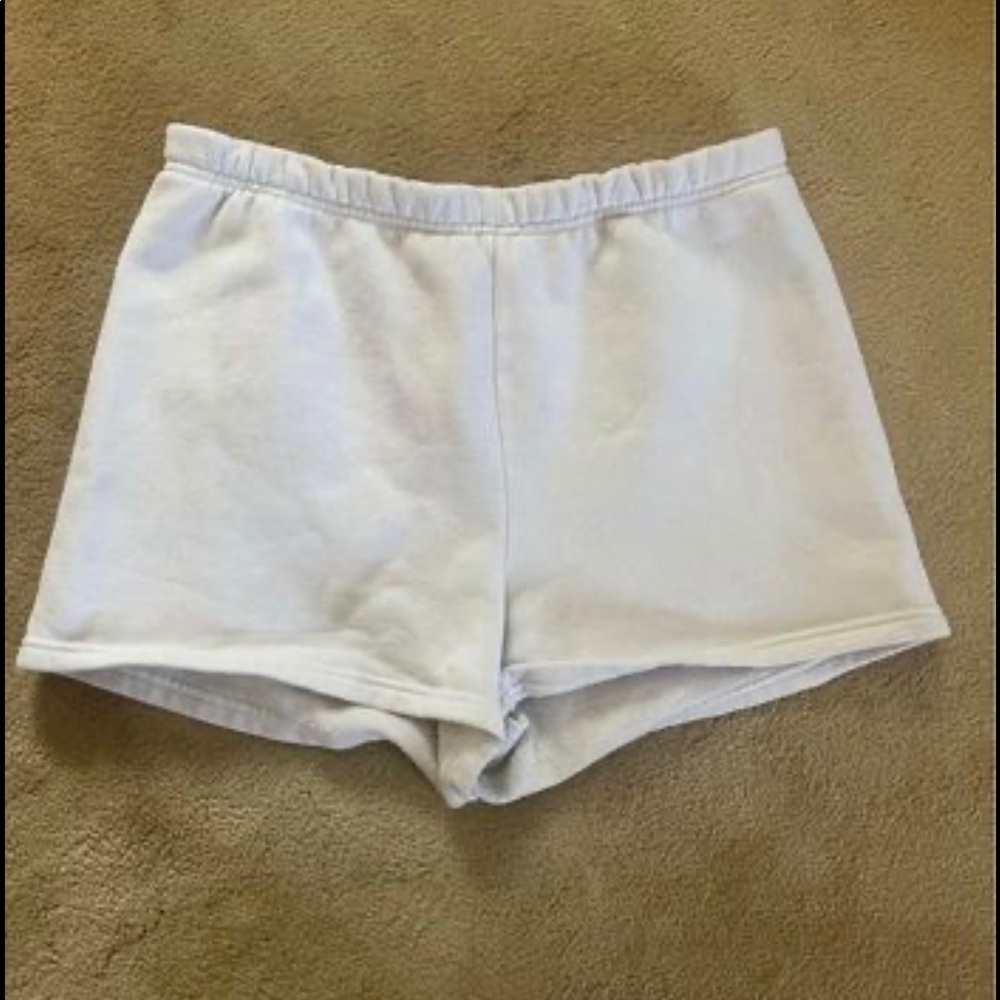 Aritzia 3’ Shorts